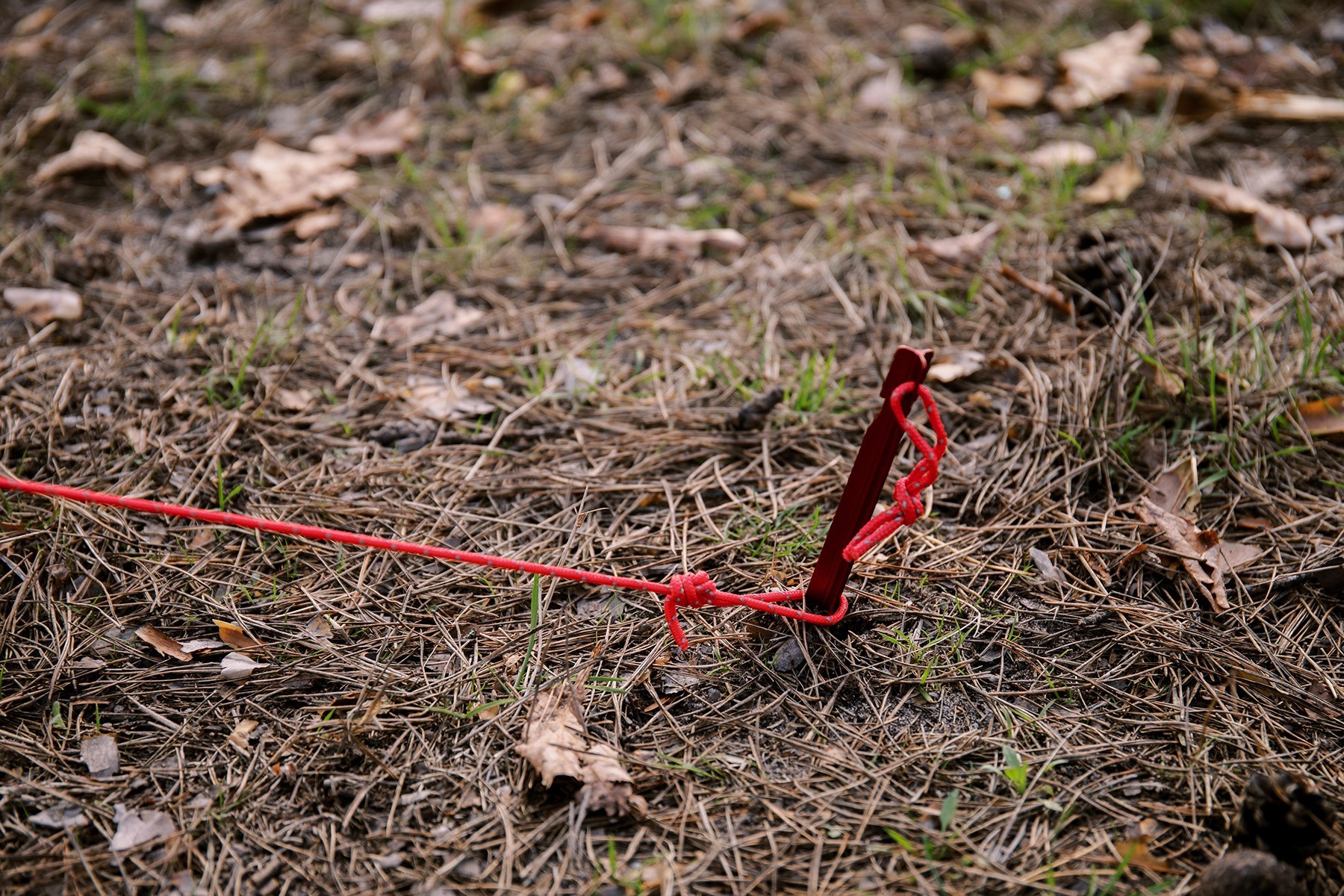 Палатка Tramp ROCK 3 (V2) серая/красная (TRT-028)