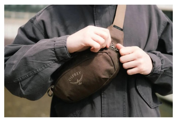 Поясна сумка Osprey Daylite Waist Driftshade