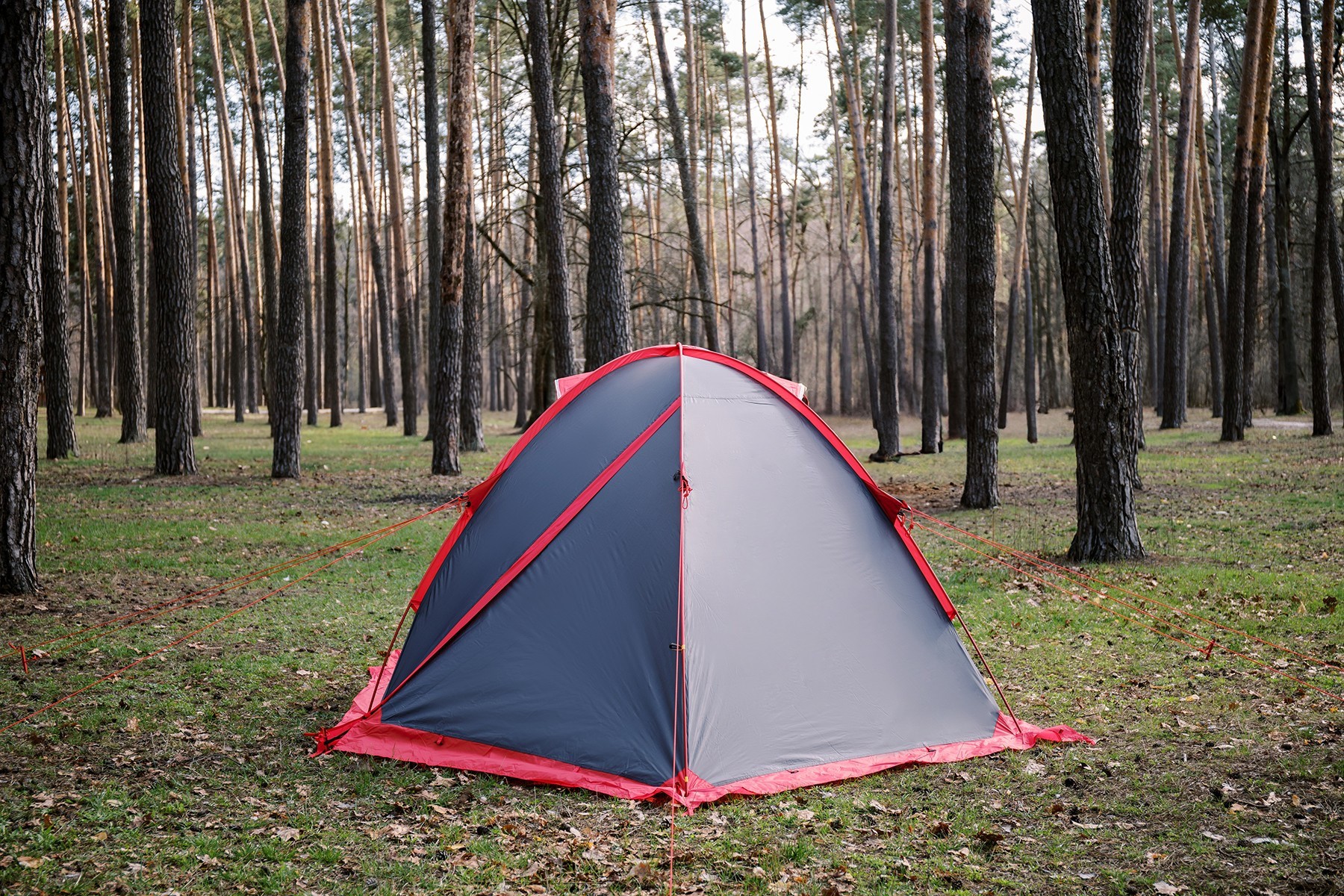 Палатка Tramp ROCK 4 (V2) серая/красная (TRT-029)