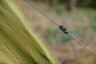Намет Tramp Lite Wonder 2 olive UTLT-005, укр Фото - 5