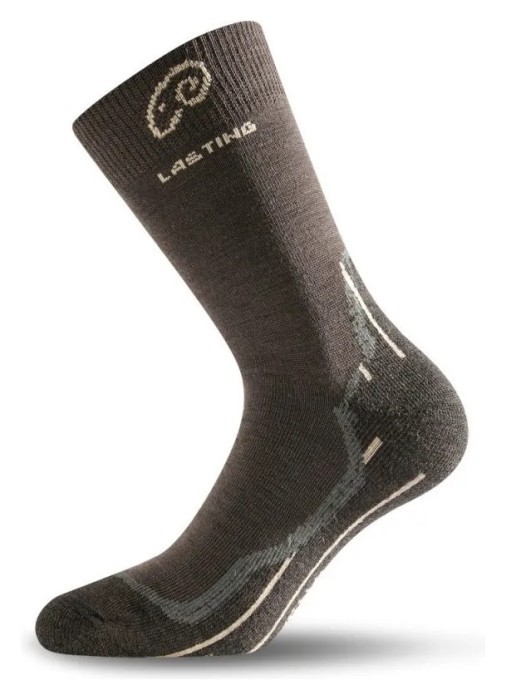 Шкарпетки Lasting WHI, укр, укр