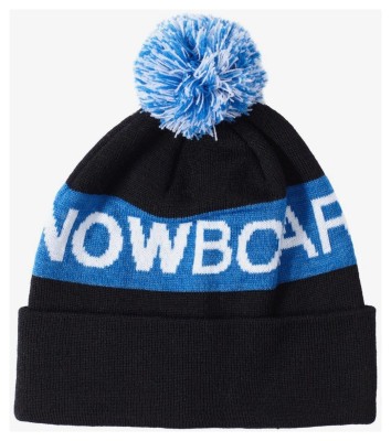 Шапка DC ( ADYHA04050 ) CHESTER BEANIE HDWR 2022