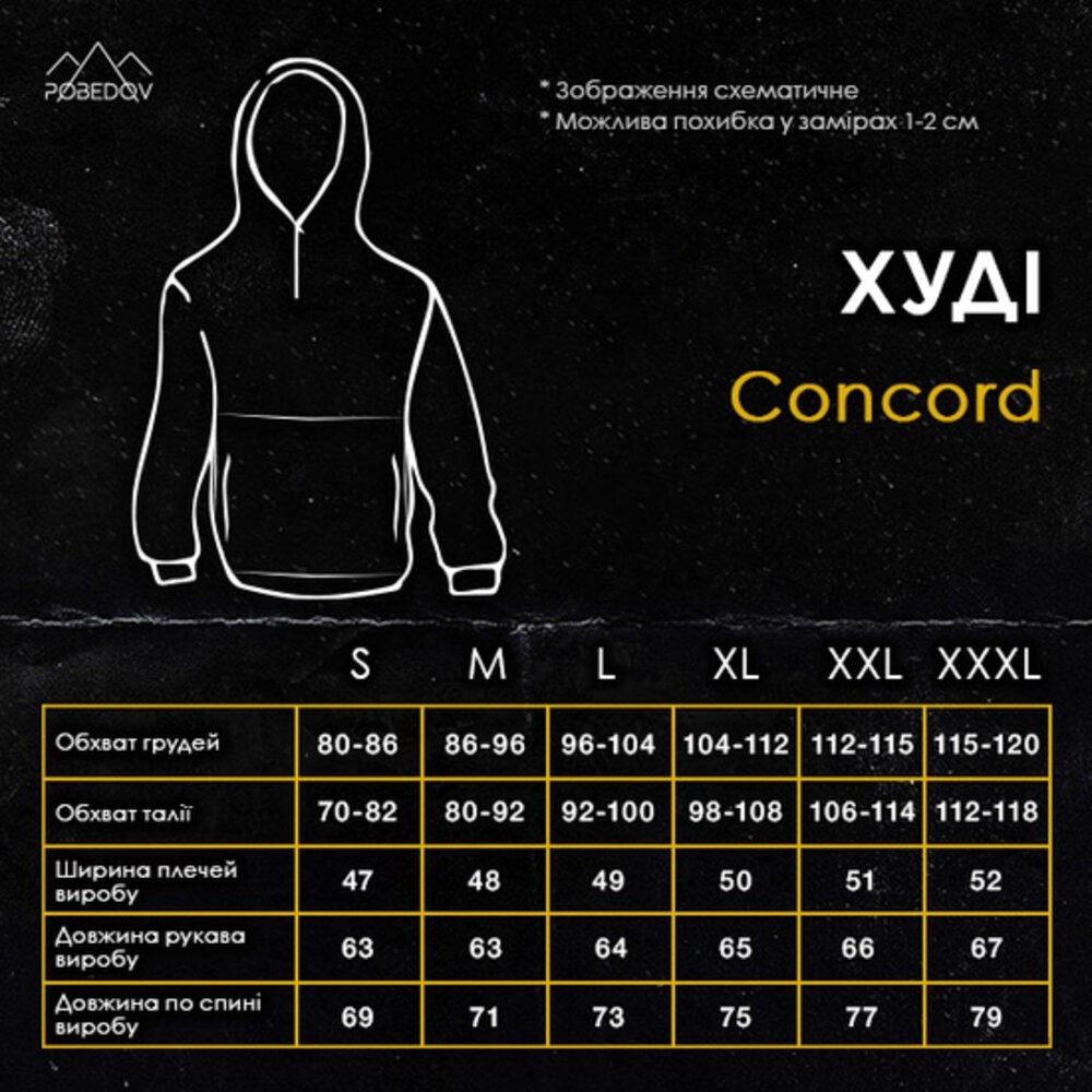 Тепле чоловіче худі зимове чорне Pobedov Concord