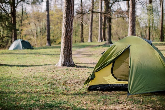 Палатка Tramp Lite Tourist 2 olive UTLT-004