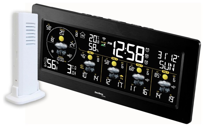Метеостанция Technoline DirektWetter WD3050 Anthracite (WD3050)