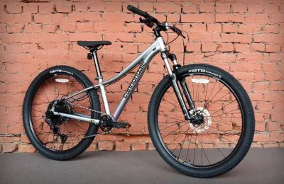 Велосипед женский 29" Cannondale Trail 5 Feminine 2022 LAV