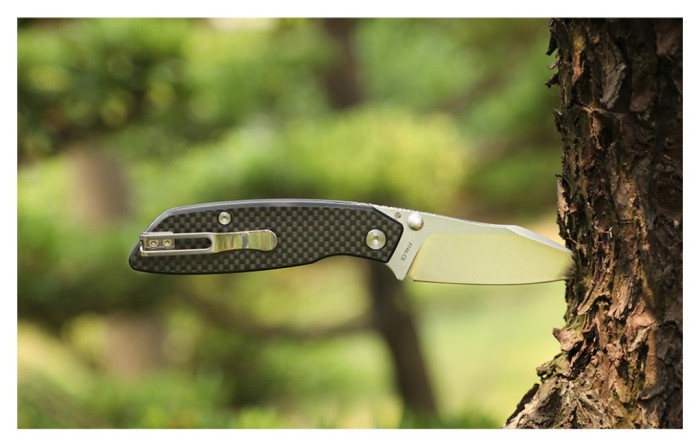 Ніж складаний туристичний Ruike P746-CB, (8 см) 14C28N / G10 чорний