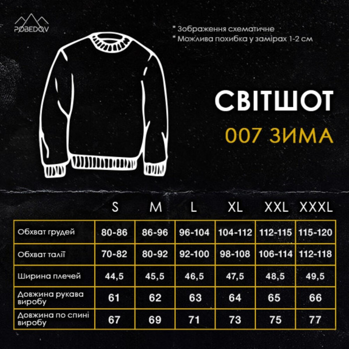 Свитшот мужской однотонный Pobedov 007 ЗИМА