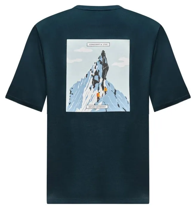 Футболка Salewa Eagle 2 T-Shirt Mns