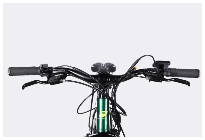 Велосипед з електроприводом 29" AL Formula eMOTION PLUS DD FR рама-19" 48B 15А*г 500Вт зелено-сірий 2026