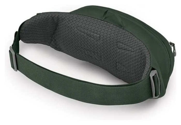 Поясна сумка Osprey Daylite Waist