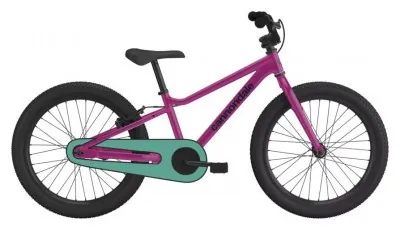 Велосипед дитячий 20" Cannondale Trail SS ORC 2026