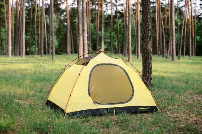 Палатка Tramp Stalker 3 (v2)