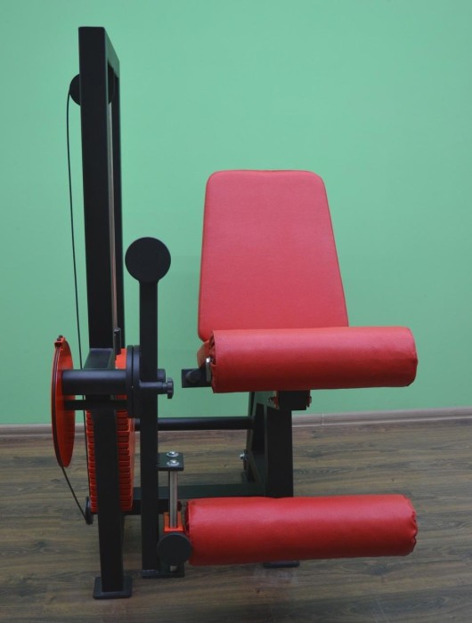 Згинання-розгинання ніг (комбі 2 в 1)