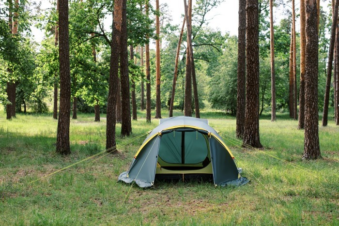 Палатка Tramp Stalker 4 (v2)