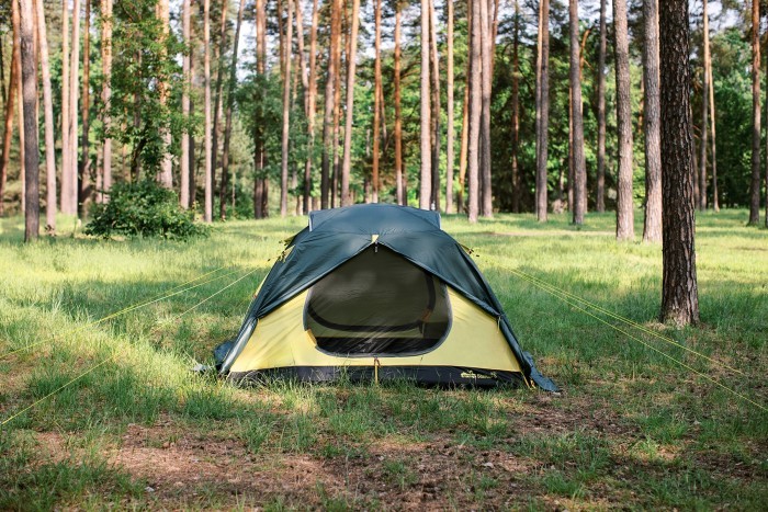 Палатка Tramp Stalker 4 (v2)