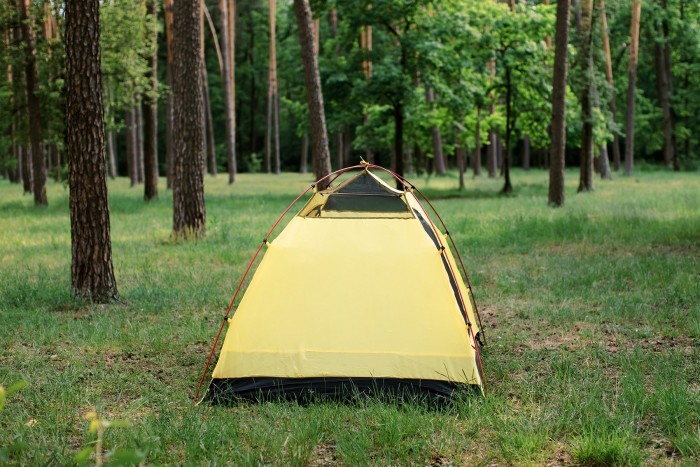 Палатка Tramp Stalker 4 (v2)