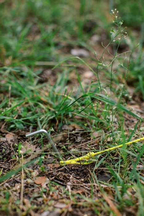 Палатка Tramp Stalker 4 (v2)