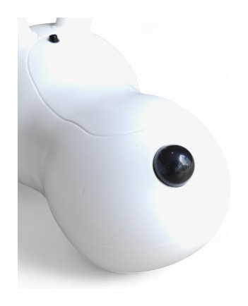 Детская каталка Rabbit 333
