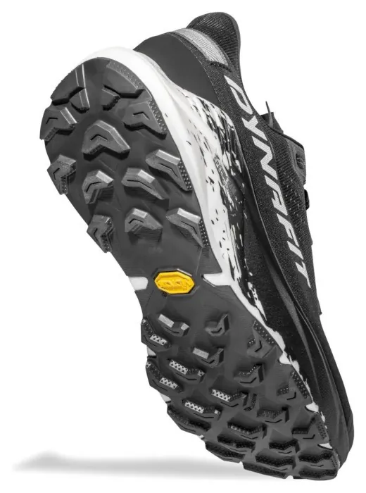 Кроссовки Dynafit Ultra 100 V3 GTX Mns