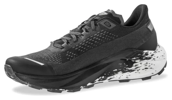 Кроссовки Dynafit Ultra 100 V3 GTX Mns