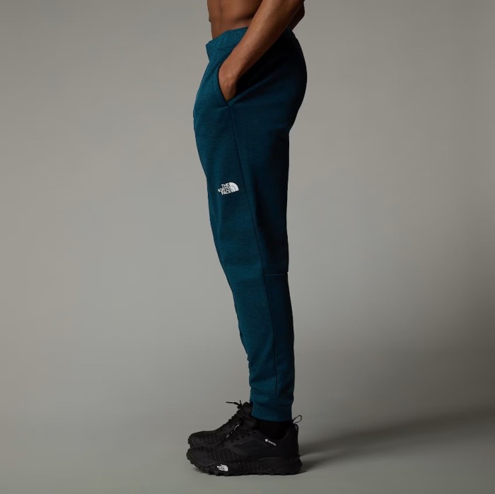 Штани для туризму THE NORTH FACE ( NF0A7Z9P ) REAXION FLEECE JOGGER - EU 2025
