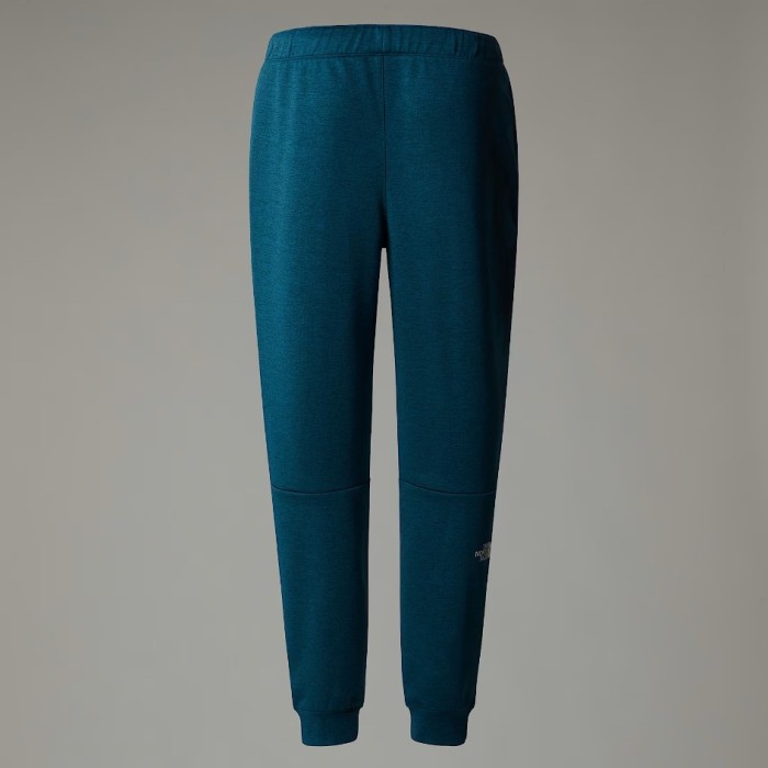Брюки для туризма THE NORTH FACE ( NF0A7Z9P ) REAXION FLEECE JOGGER - EU 2025