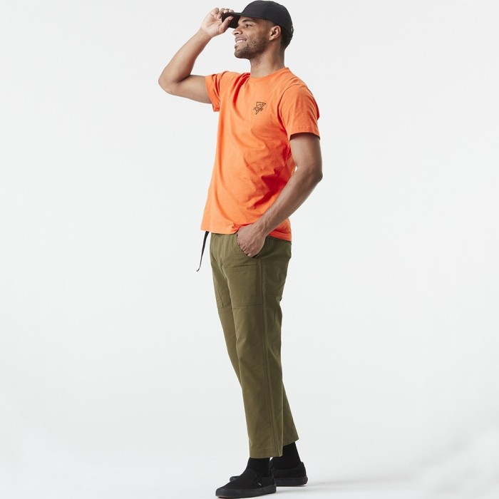 Picture Organic штани трекінгові Dazcat tobacco L