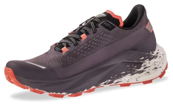 Кроссовки Dynafit Ultra 100 V3 GTX Wmn