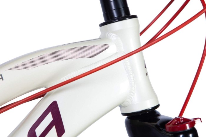 Велосипед 26" Formula ALPINA 2024 (біло-бордовий)