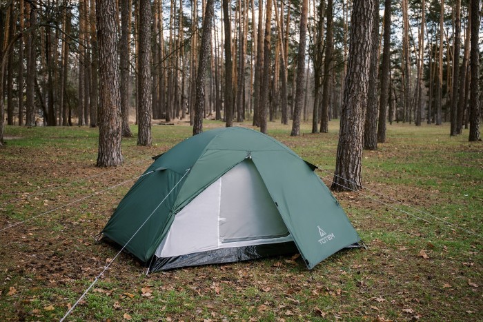 Палатка Totem Trek 2 (v2) UTTT-021