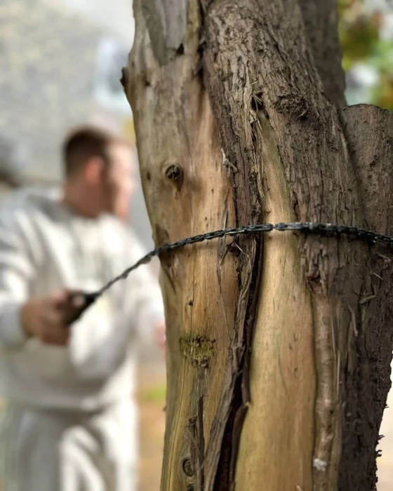 Пилка цепная BaseCamp Paracord Saw