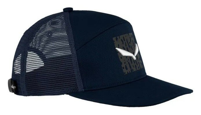 Кепка Salewa Pure Salamander Logo Mns