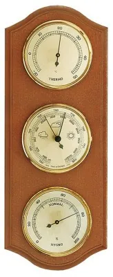 Метеостанція Moller 203379 Alder (203379)