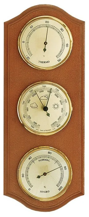 Метеостанція Moller 203379 Alder (203379)