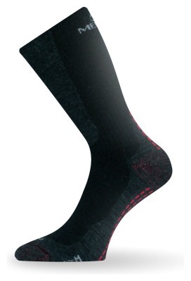 Шкарпетки Lasting WSM