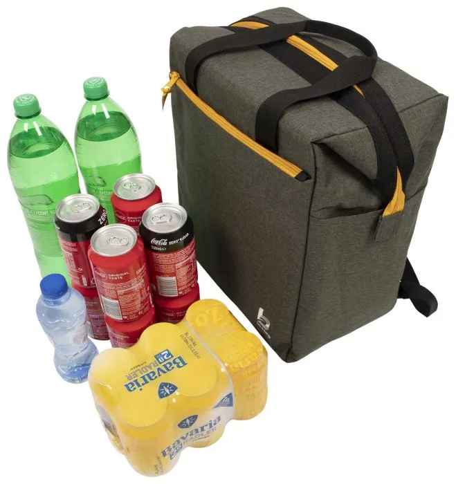 Термосумка Bo-Camp Matteson 22 Liters Grey (6702964)