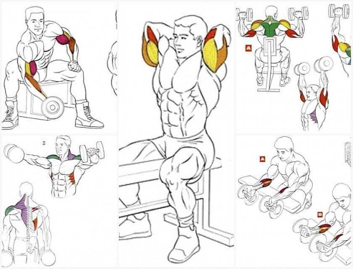 Лава для жима лежа универсальная регулируемая + Гантели RN-Sport 2 по 20 кг с ABS-покрытием.