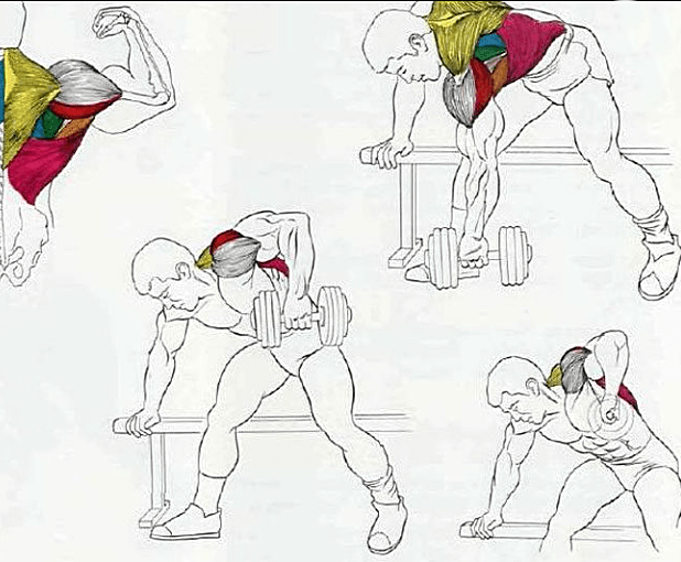 Лава для жима лежа универсальная регулируемая + Гантели RN-Sport 2 по 20 кг с ABS-покрытием.