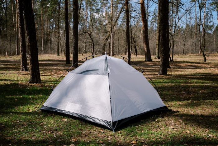 Палатка Totem Carriage 3 (v2) UTTT-016