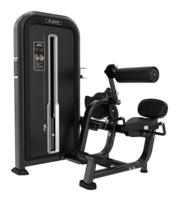 Розгинання спини Iron Impulse Abdominal Crunch/Lower Back TY31