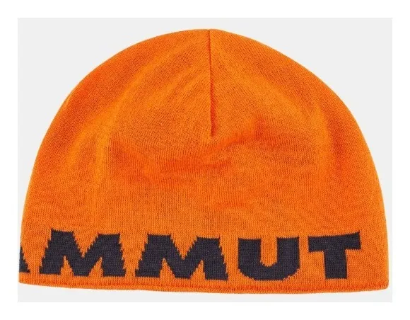 Шапка Mammut ( 1191-04891 ) Mammut Logo Beanie 2025, укр, укр