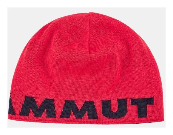Шапка Mammut (1191-04891) Mammut Logo Beanie 2025