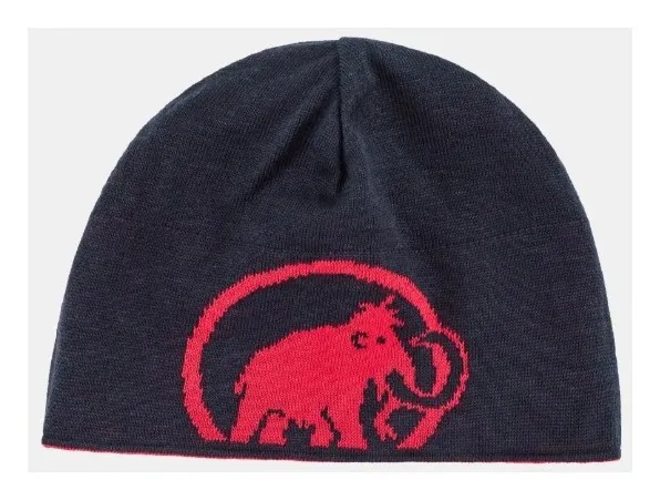 Шапка Mammut ( 1191-04891 ) Mammut Logo Beanie 2025, укр, укр
