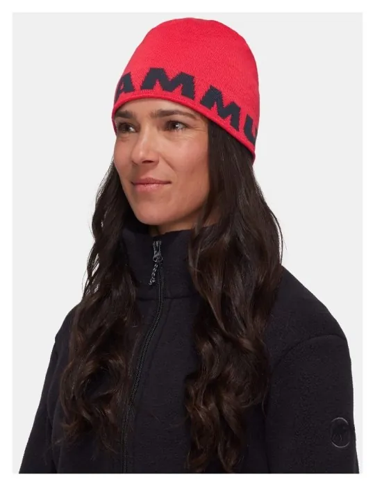 Шапка Mammut ( 1191-04891 ) Mammut Logo Beanie 2025, укр, укр
