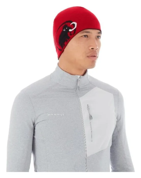 Шапка Mammut ( 1191-04891 ) Mammut Logo Beanie 2025, укр, укр