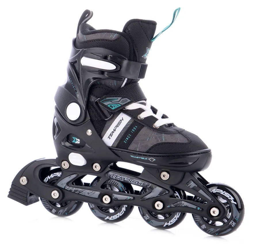 Роликові ковзани Tempish DASTY II Boy/37-40 (SPT_1000000033/37-40)