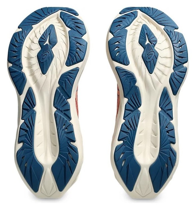 Кросівки для бігу Asics ( 1012B510 ) NOVABLAST 4 2024