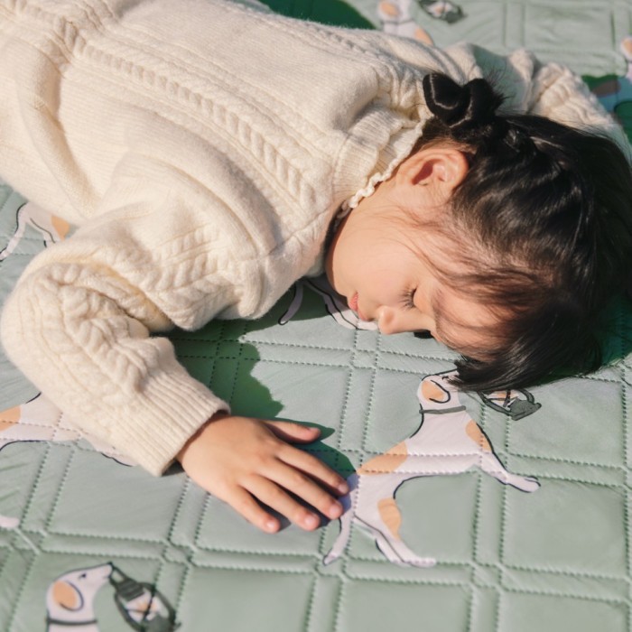 Килимок для пікніка водостійкий Naturehike CNK2350WS010, 145x170 см, зелений з принтом, укр, укр