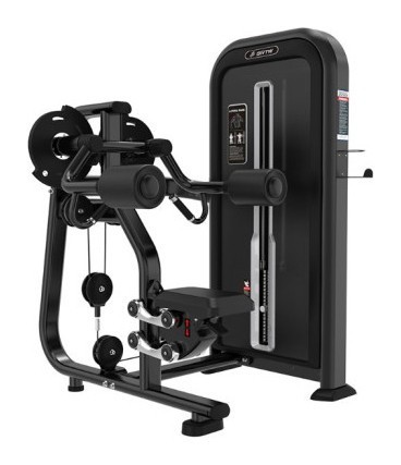 Дельта-машина Iron Impulse Lateral Raise TY07, укр, укр